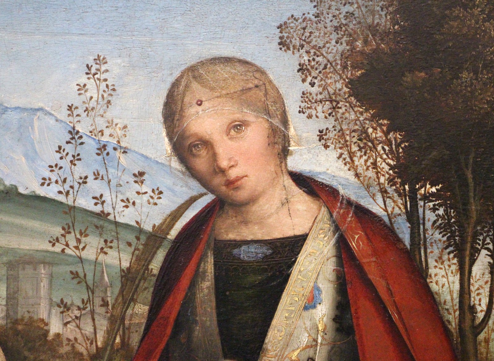 Boccaccio+Boccaccino-1467-1525 (30).jpg